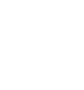 Balaji Finserve